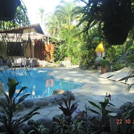 Hotel Caribbean Coconut Cahuita Exterior photo